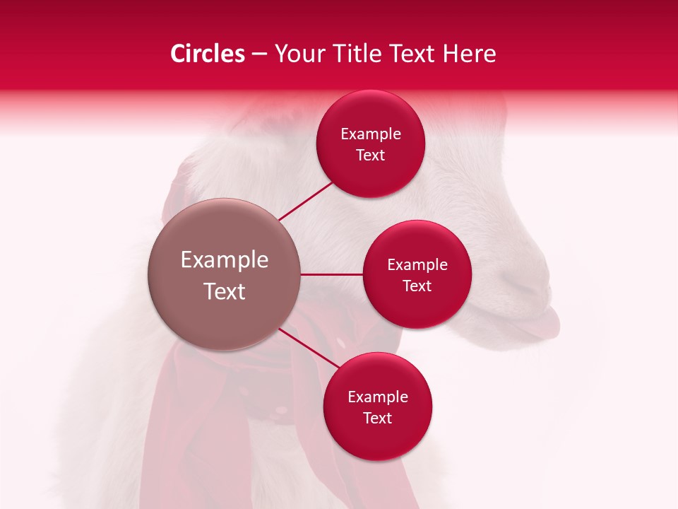 Milk Season One Animal PowerPoint Template