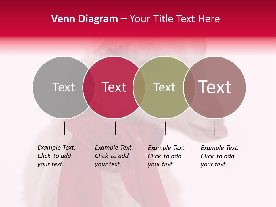 Milk Season One Animal PowerPoint Template