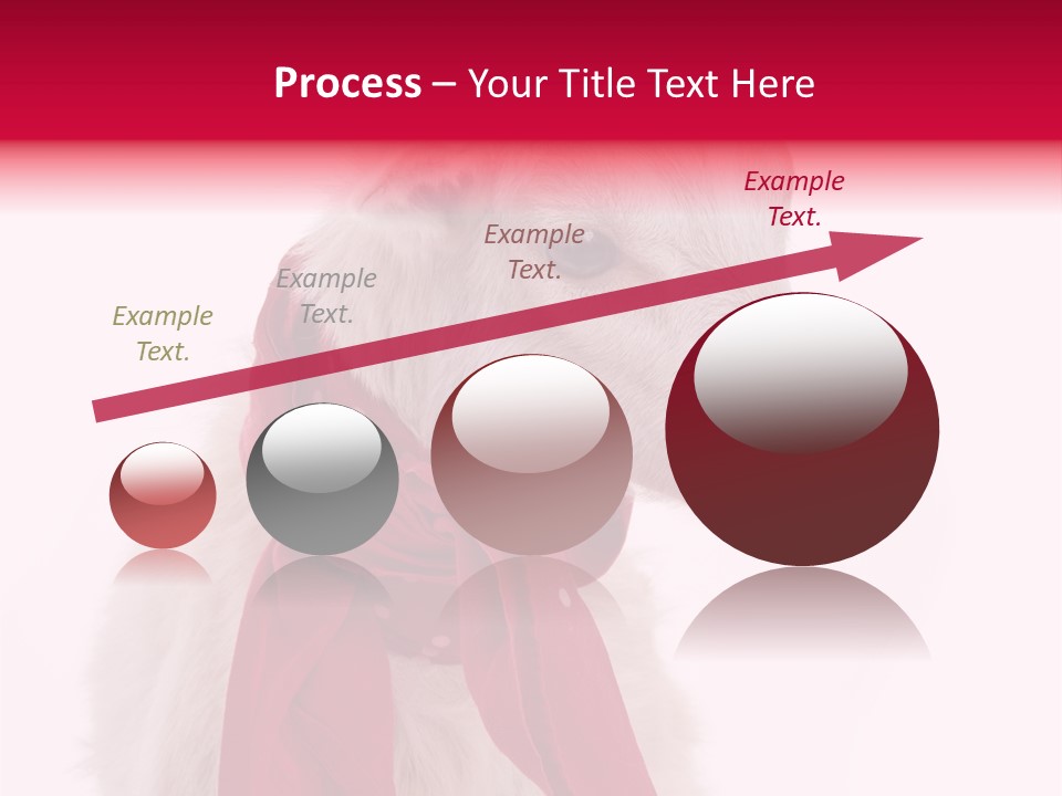 Milk Season One Animal PowerPoint Template