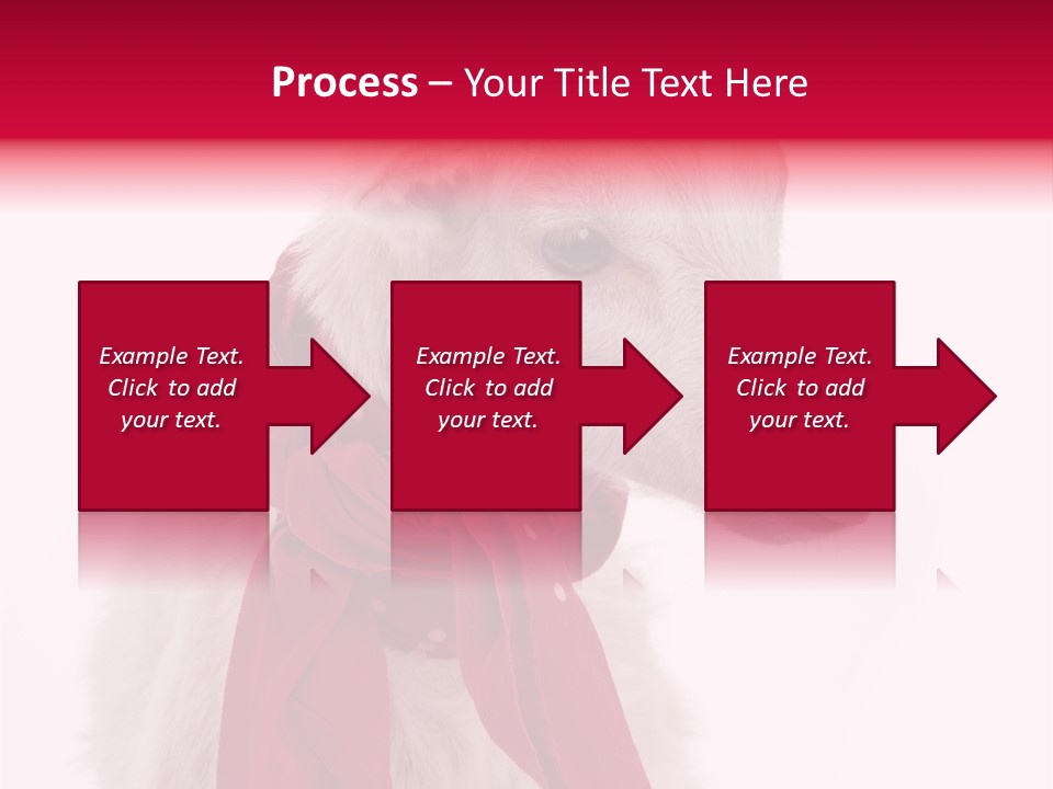 Milk Season One Animal PowerPoint Template