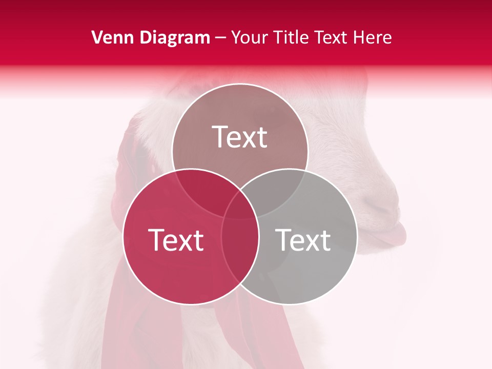 Milk Season One Animal PowerPoint Template