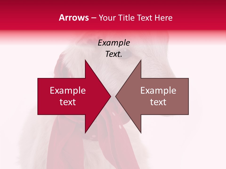 Milk Season One Animal PowerPoint Template