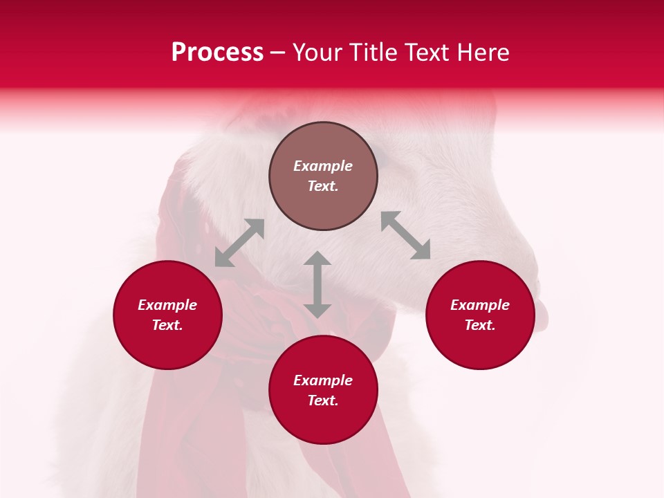 Milk Season One Animal PowerPoint Template