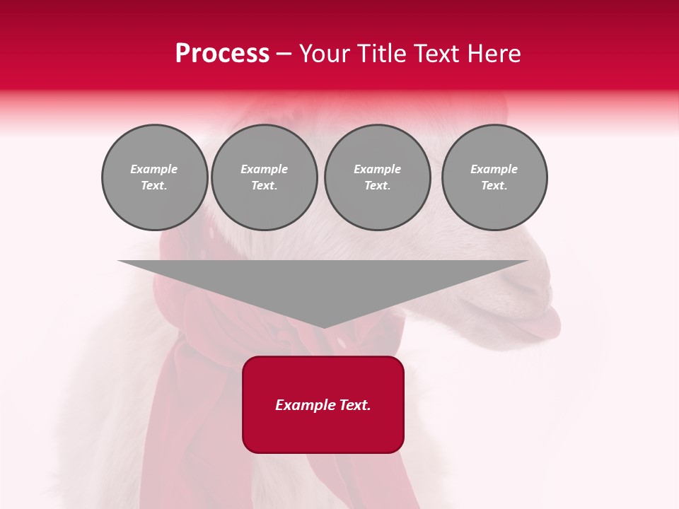 Milk Season One Animal PowerPoint Template