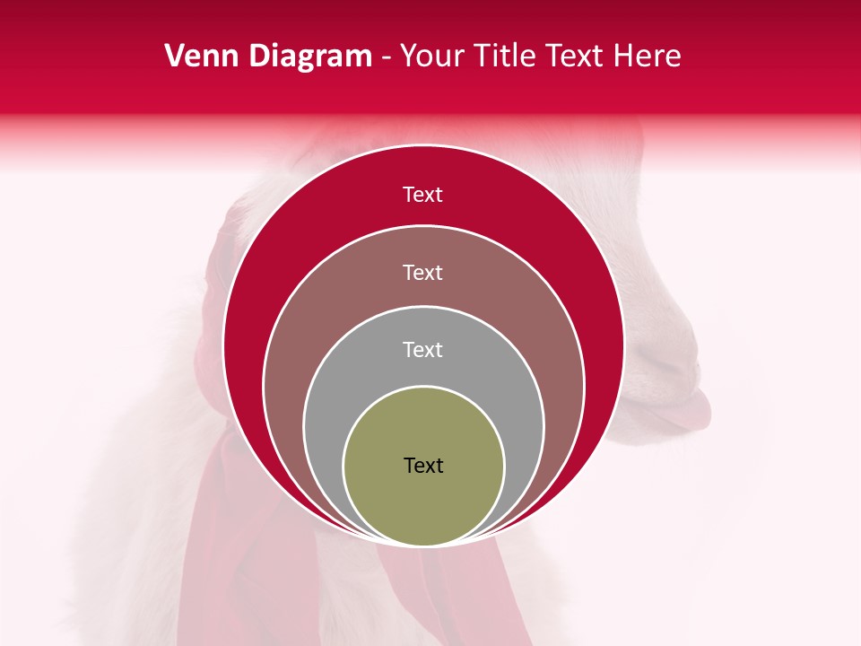 Milk Season One Animal PowerPoint Template