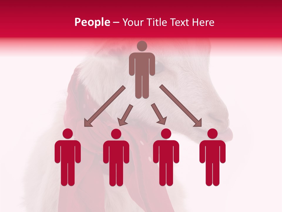 Milk Season One Animal PowerPoint Template