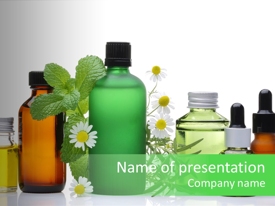 Leaf Herbal Herb PowerPoint Template