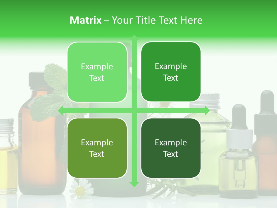 Leaf Herbal Herb PowerPoint Template