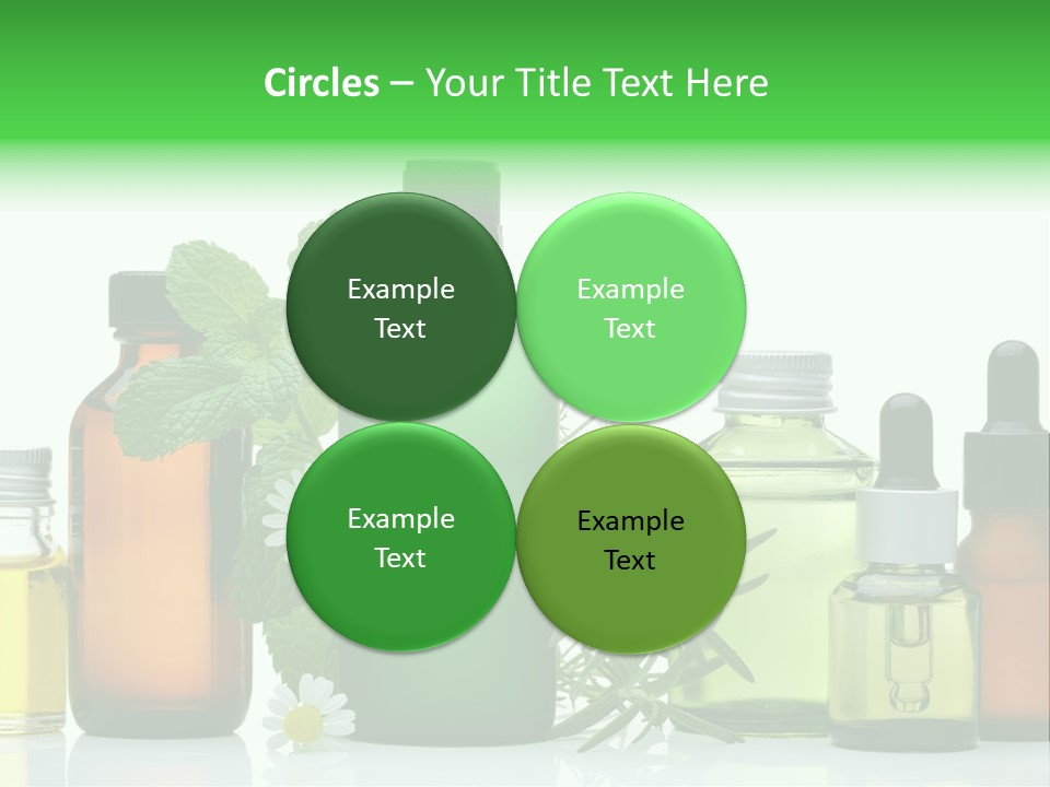 Leaf Herbal Herb PowerPoint Template