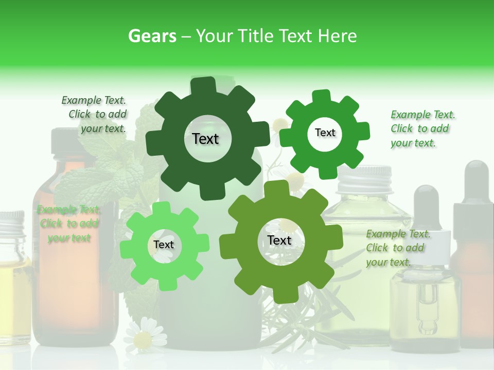 Leaf Herbal Herb PowerPoint Template