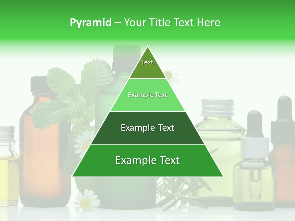 Leaf Herbal Herb PowerPoint Template