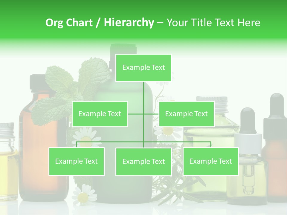 Leaf Herbal Herb PowerPoint Template