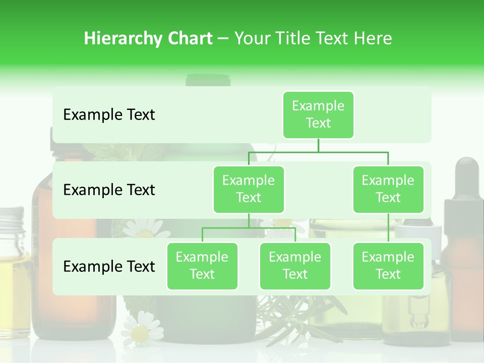 Leaf Herbal Herb PowerPoint Template