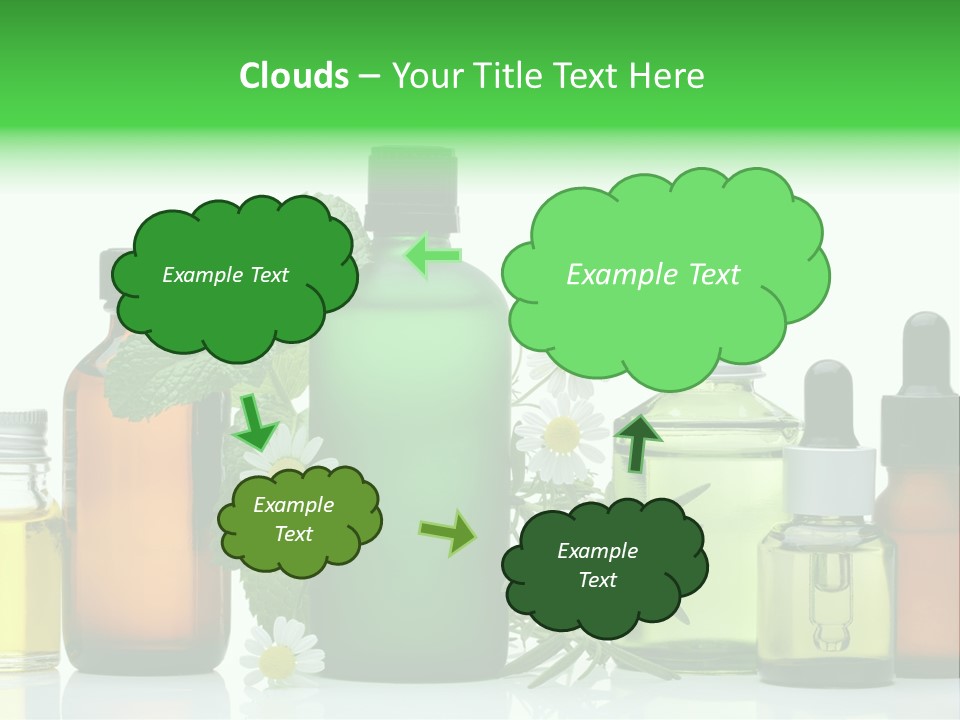 Leaf Herbal Herb PowerPoint Template