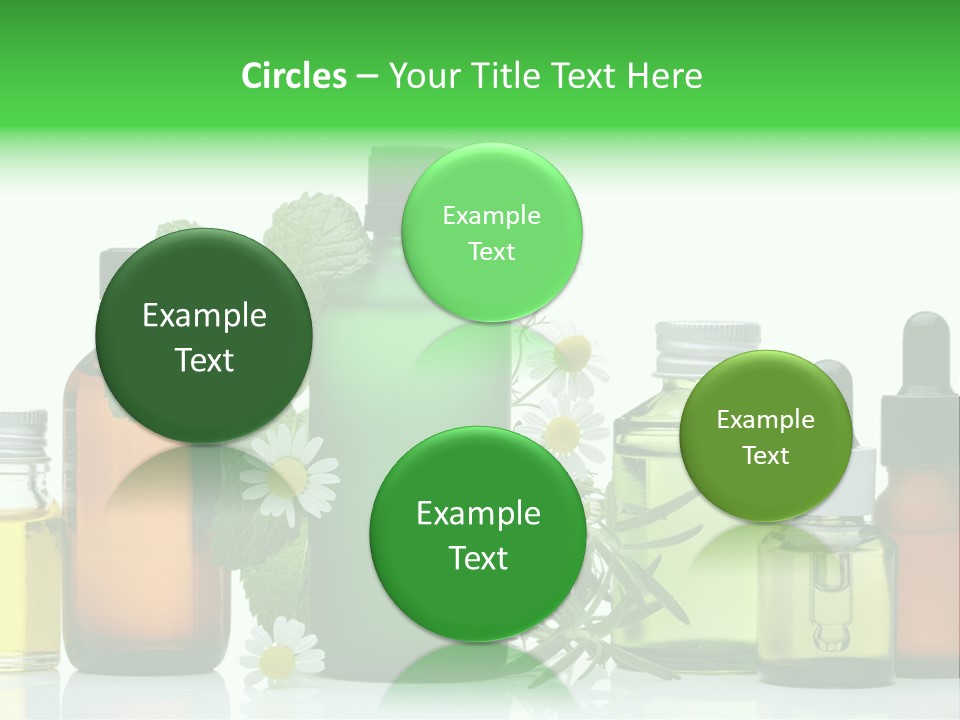 Leaf Herbal Herb PowerPoint Template