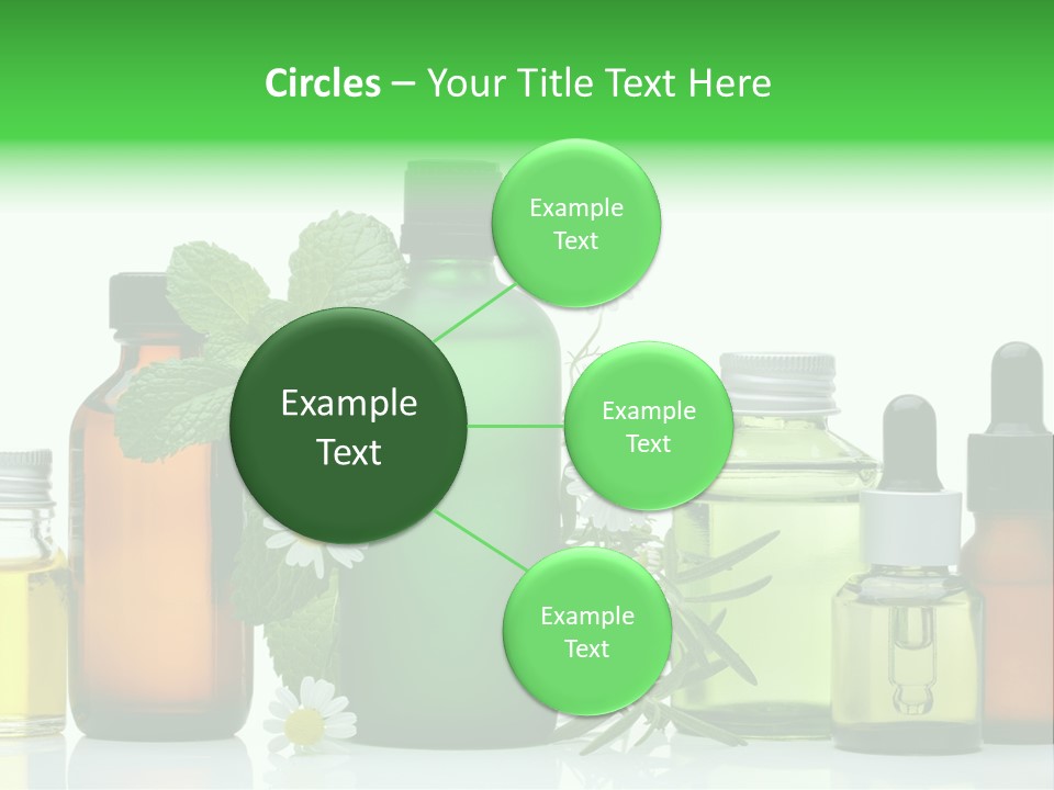 Leaf Herbal Herb PowerPoint Template