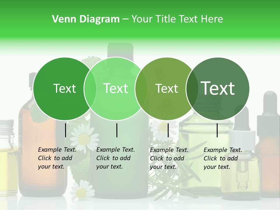 Leaf Herbal Herb PowerPoint Template