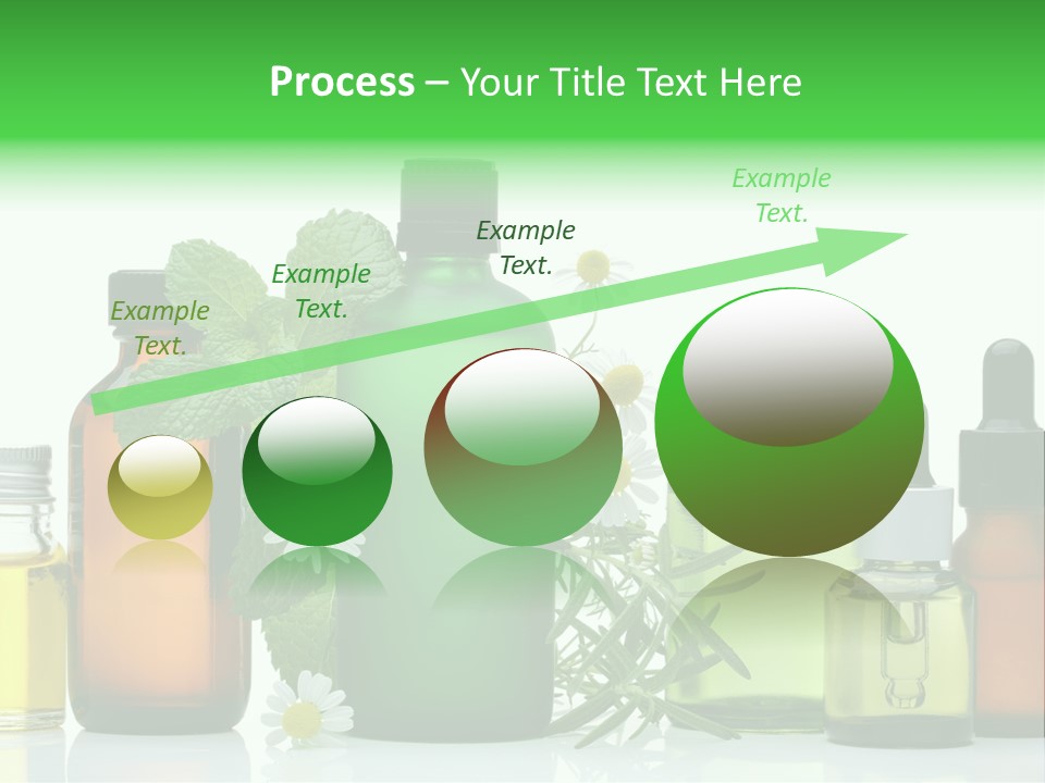 Leaf Herbal Herb PowerPoint Template