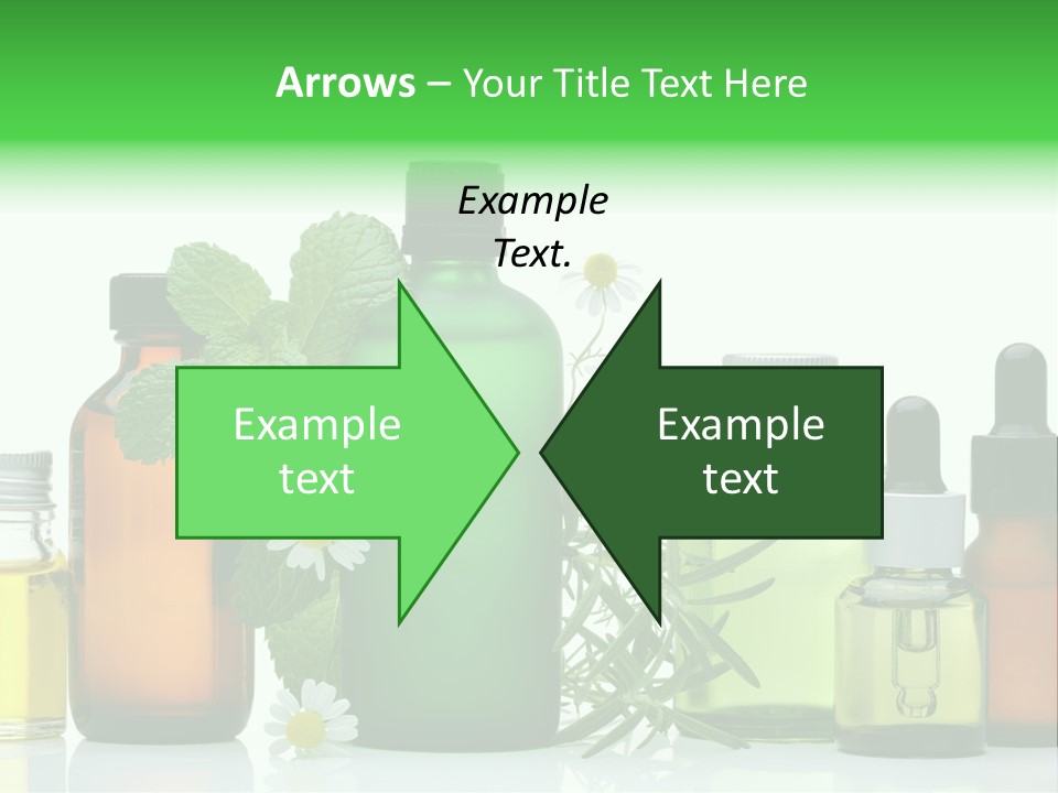 Leaf Herbal Herb PowerPoint Template