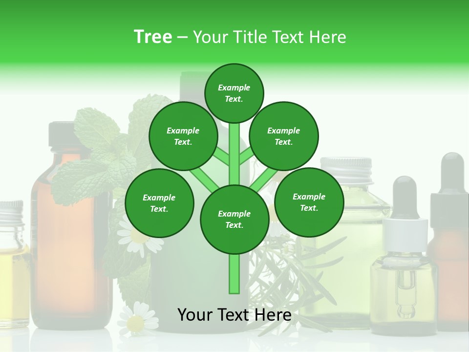 Leaf Herbal Herb PowerPoint Template