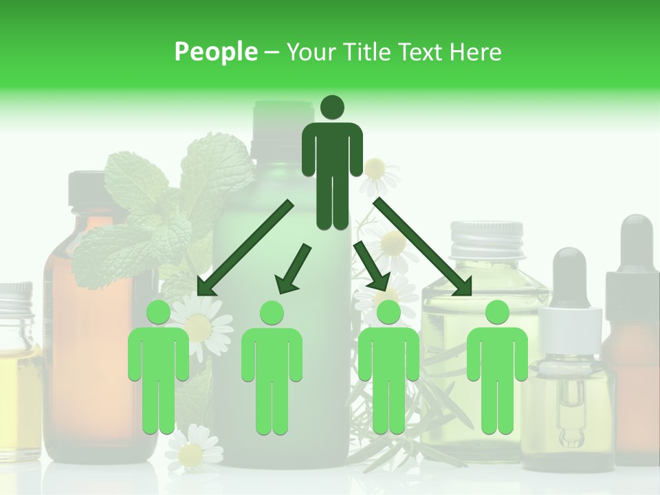 Leaf Herbal Herb PowerPoint Template