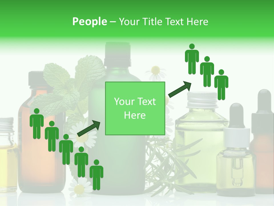 Leaf Herbal Herb PowerPoint Template