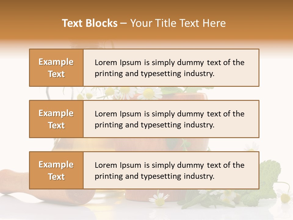 Harvest Food Vegetable PowerPoint Template