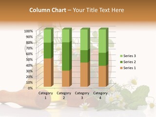 Harvest Food Vegetable PowerPoint Template