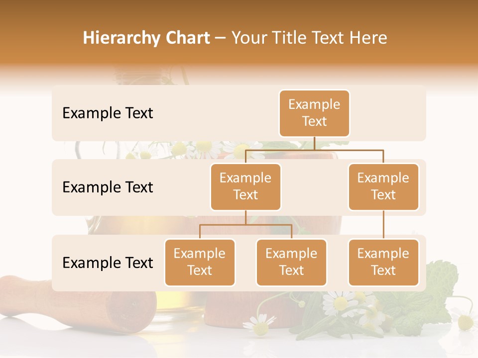 Harvest Food Vegetable PowerPoint Template