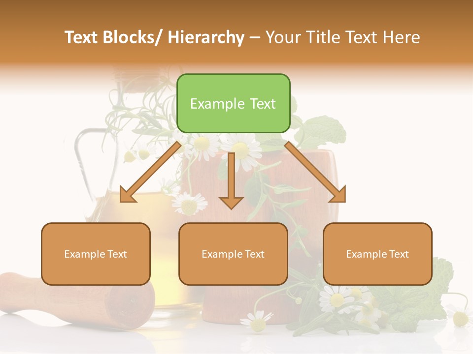 Harvest Food Vegetable PowerPoint Template