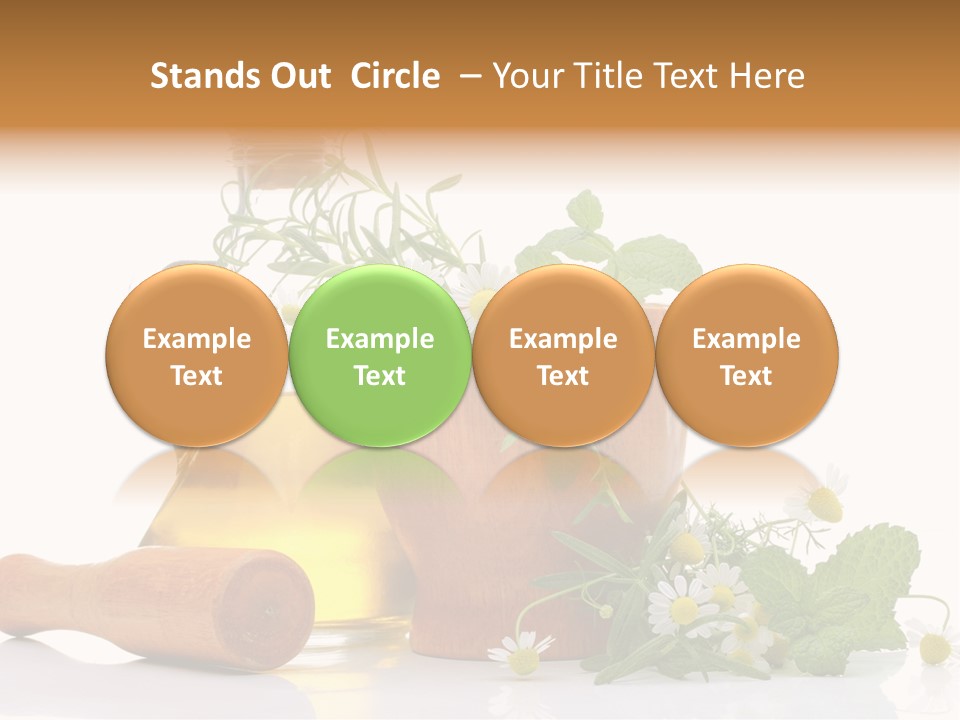 Harvest Food Vegetable PowerPoint Template