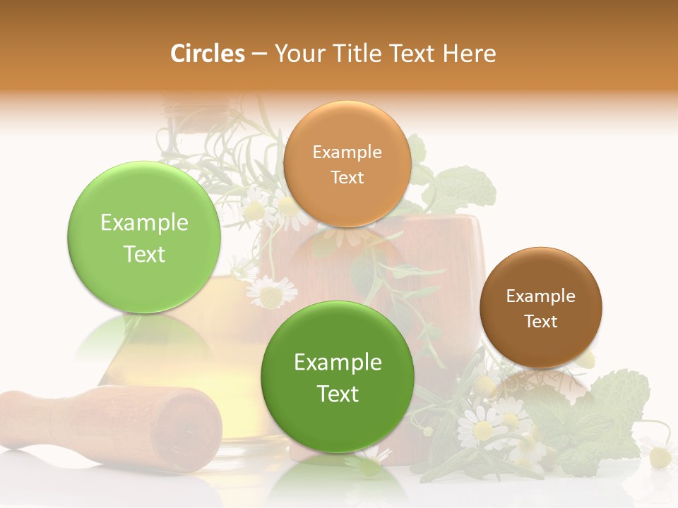 Harvest Food Vegetable PowerPoint Template