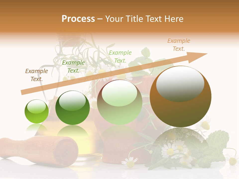 Harvest Food Vegetable PowerPoint Template
