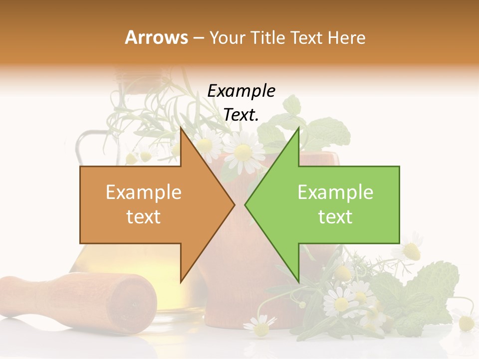 Harvest Food Vegetable PowerPoint Template