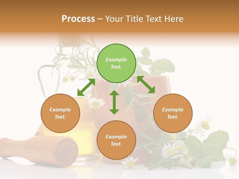 Harvest Food Vegetable PowerPoint Template