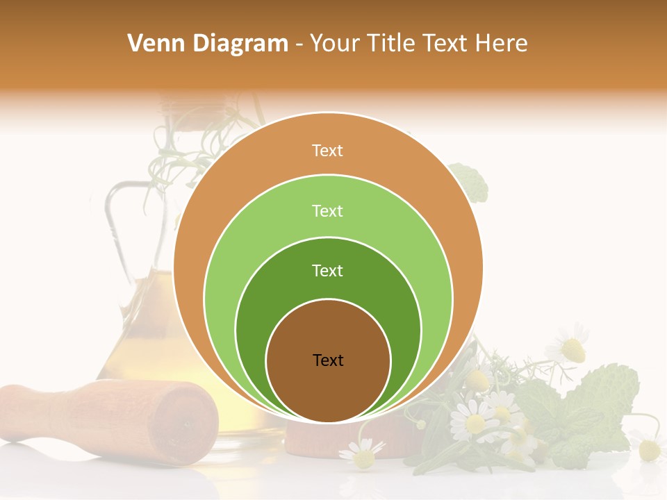 Harvest Food Vegetable PowerPoint Template