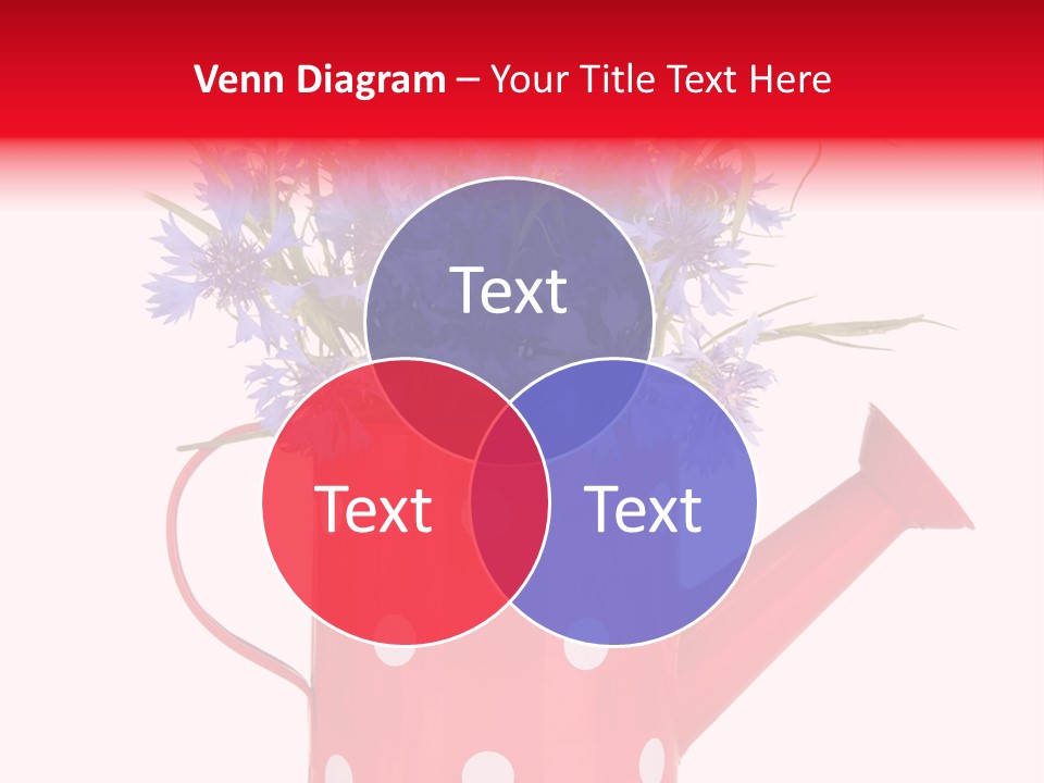 White Background Corn PowerPoint Template