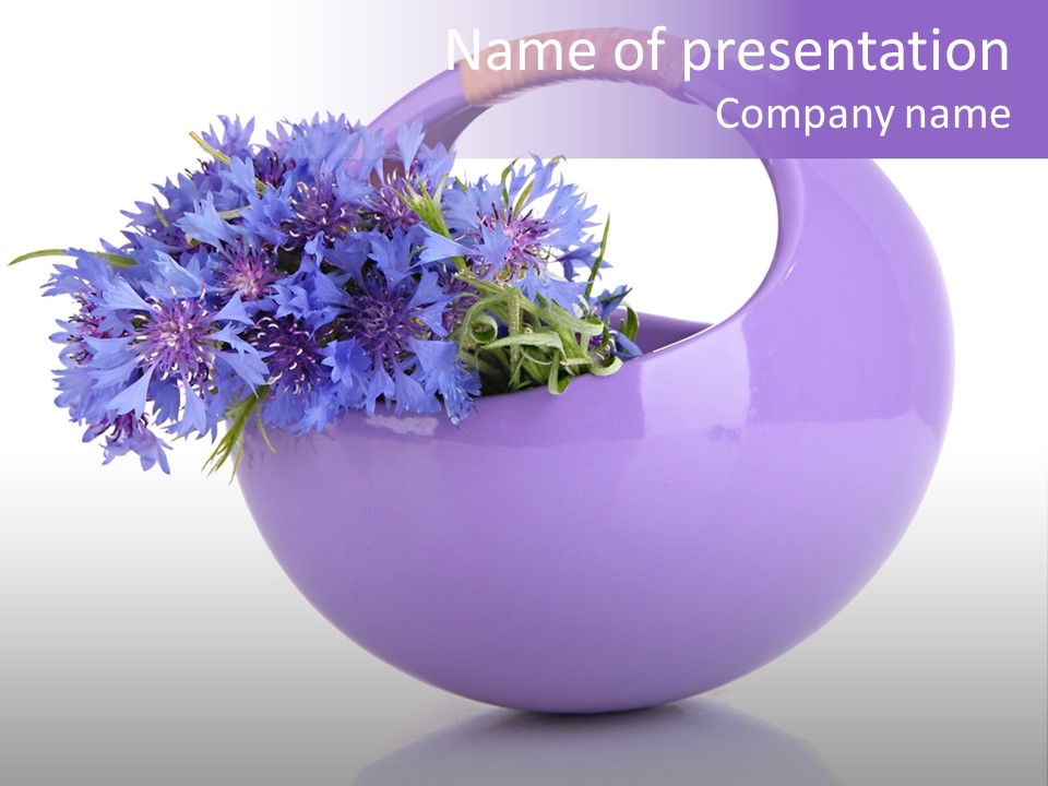 Pretty Isolated Background PowerPoint Template