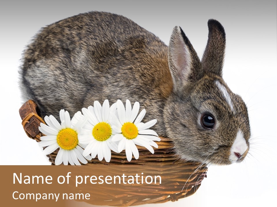 Season Happy Animal PowerPoint Template