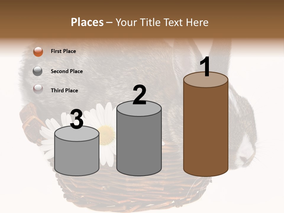 Season Happy Animal PowerPoint Template