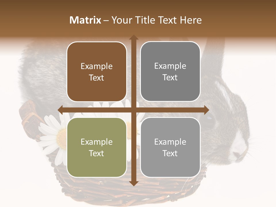 Season Happy Animal PowerPoint Template