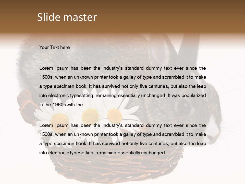 Season Happy Animal PowerPoint Template