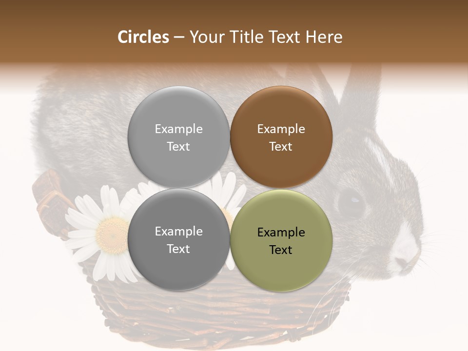 Season Happy Animal PowerPoint Template