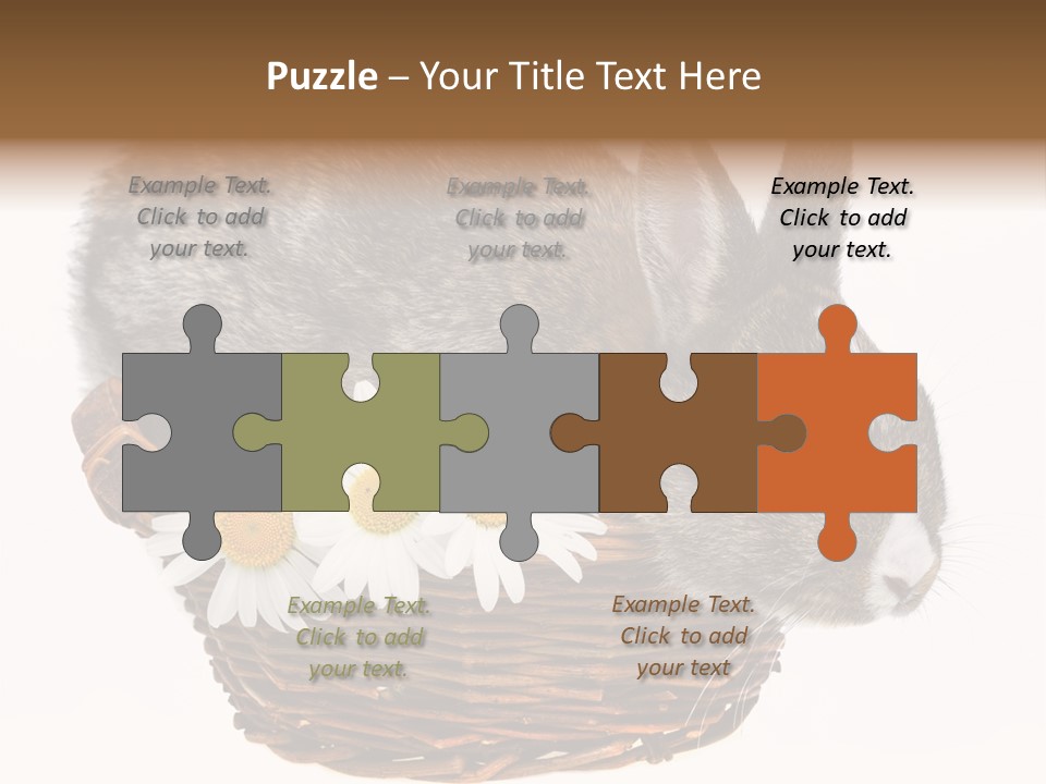 Season Happy Animal PowerPoint Template