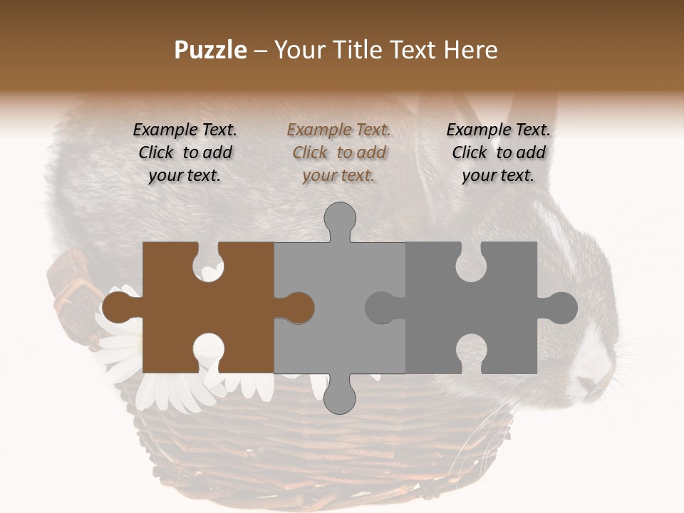 Season Happy Animal PowerPoint Template