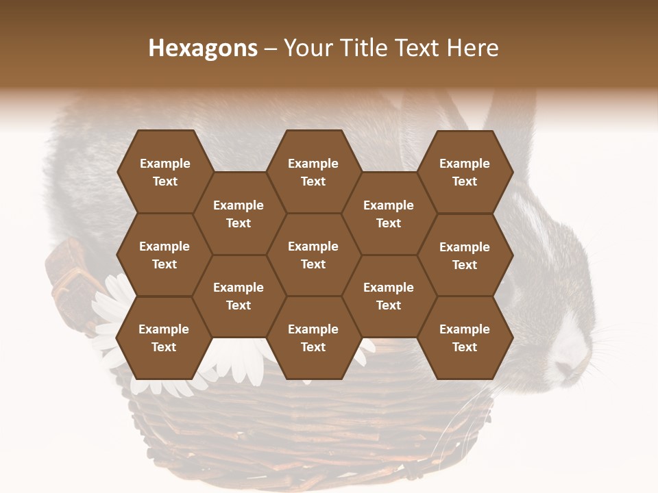 Season Happy Animal PowerPoint Template