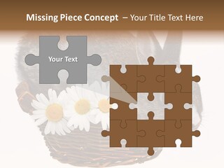 Season Happy Animal PowerPoint Template