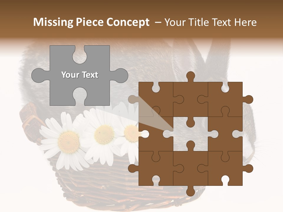 Season Happy Animal PowerPoint Template