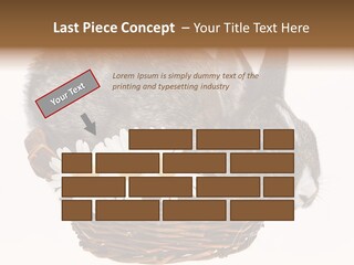 Season Happy Animal PowerPoint Template