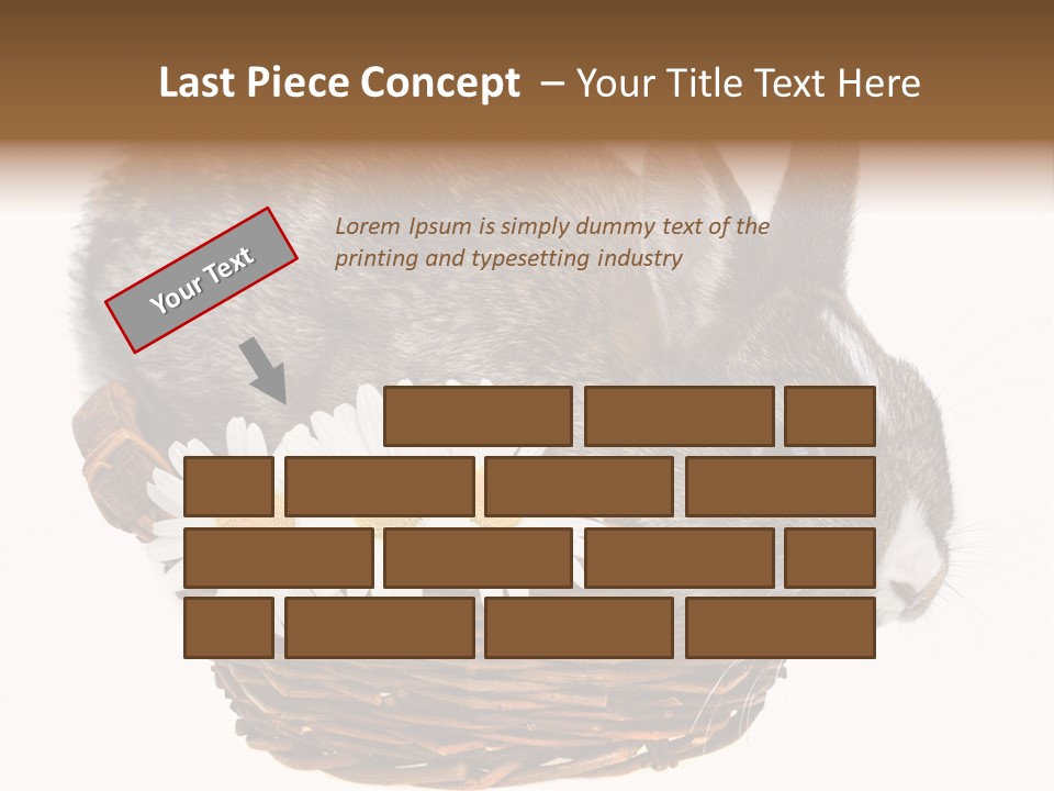 Season Happy Animal PowerPoint Template